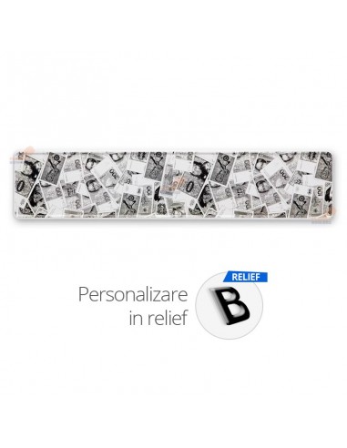 Placa auto standard - Fundal bani