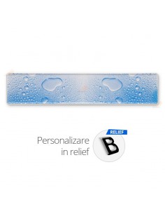 copy of Placa auto standard...